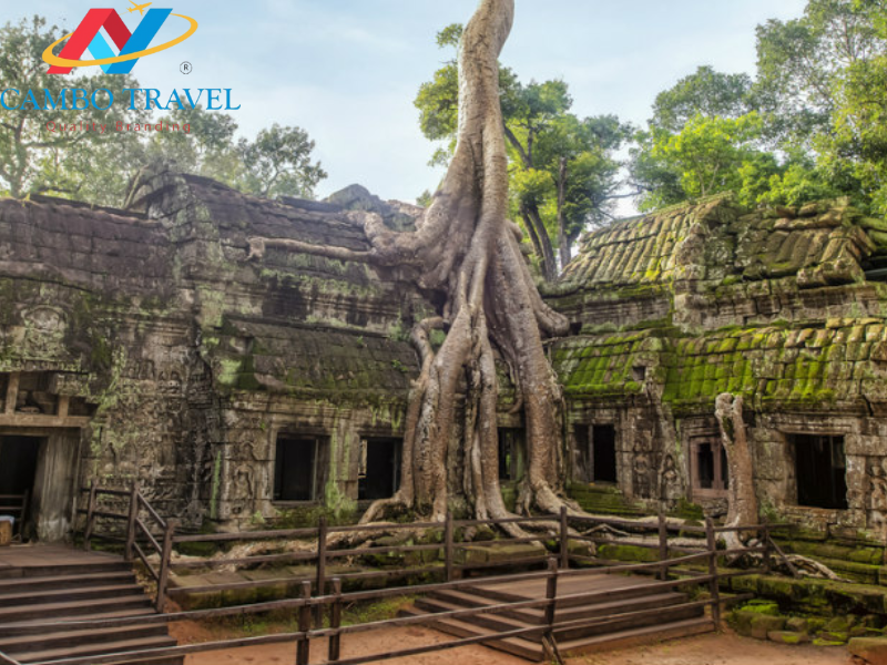 LAND TOUR CAMPUCHIA - SIEM REAP - SIHANOUK - BOKOR  - PHNOM PENH