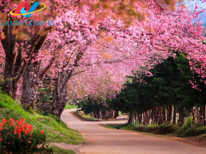 VUNG TAU TOUR - HO MAY LAKE TOURIST AREA - SAIGON RIVER CRUISE - BA DEN MOUNTAIN TAY NINH