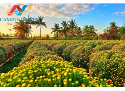 Spring travel 2024 and tourist destinations in Vietnam just for you